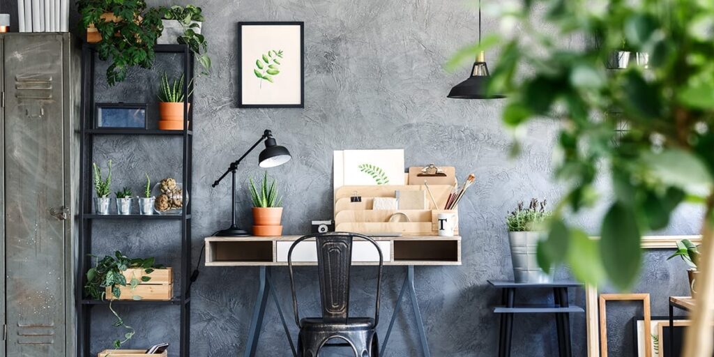 STUDY ROOM PLANTS
